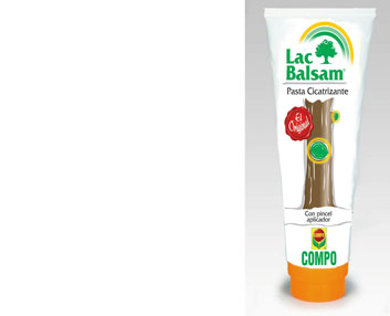 Pasta cicatrizante para las ramas heridas